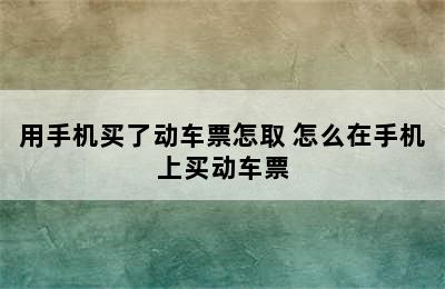 用手机买了动车票怎取 怎么在手机上买动车票